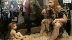La reconstitution d'un homme de Néandertal au musée préhistorique des Eyzies-de-Tayac, en Dordogne.