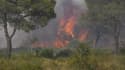 Un feu de forêt à Vidauban le 11 juin 2024