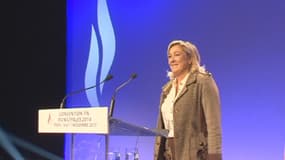 La présidente du Front national Marine Le Pen à Paris le 16 novembre dernier