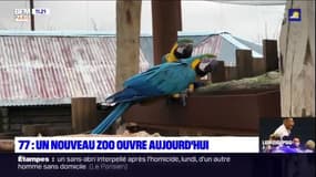 Seine-et-Marne: un nouveau zoo ouvre aujourd'hui