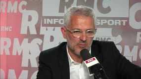 Bientôt des champs de cannabis dans la Creuse? 