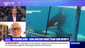 Fin de Marineland : où iront les animaux ? - 04/01
