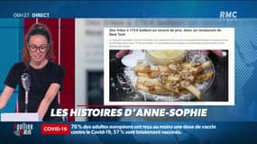 Cuites dans de la graisse d'oie pure, parsemées de sel de Guérande, parfumées à l'huile de truffe: voici le prix des frites les plus chères du monde