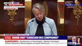 Élisabeth Borne: "Le 49.3 n'est pas l'invention d'un dictateur"