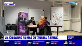 Un job dating au Mas du Taureau à Vaulx-en-Velin