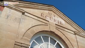 Découverte d'ici : Haras national du Pin, le domaine du cheval Roi