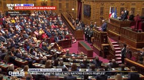 Charles III au Sénat: "Ensemble, nous sommes inébranlables dans notre détermination que l'Ukraine triomphera"