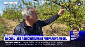 Gel: les agriculteurs s'organisent pour protéger leurs récoltes