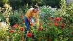 Les petits travaux de jardin peuvent donner lieu à un crédit d'impôt.