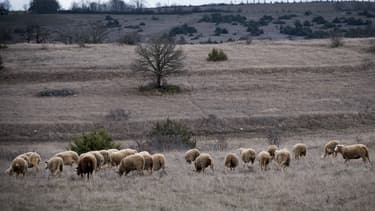 Le parc photovoltaïque doit s'implanter sur une zone du sud Larzac, classée Natura 2000 et patrimoine mondial de l'Unesco. (image d'illustration)