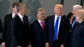 Trump s'impose pour être au premier rang sur la photo de famille du sommet de l'Otan, le 25 mai 2017 à Bruxelles