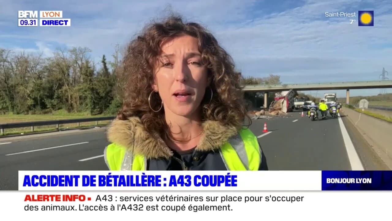 L'accident d'une bétaillère entraîne la coupure de l'A43 entre Saint