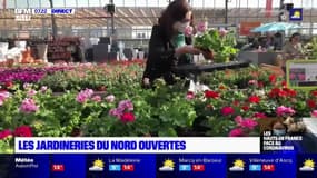 "S'il n'y avait pas eu le confinement, je n'aurais pas fait de jardinage": dans le Nord et le Pas-de-Calais, les jardineries ont pu rouvrir leurs portes