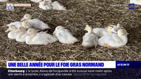 Eure: une belle année pour le foie gras normand