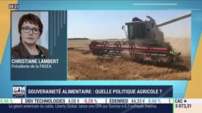 Betteraves: "on a besoin de cet insecticide" explique la FNSEA
