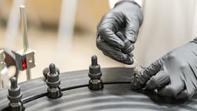 Pionnière sur le marché français du chanvre bien-être, la gamme NOVALOA est aujourd'hui disponible en ligne et dans plus de 1000 points de vente. 