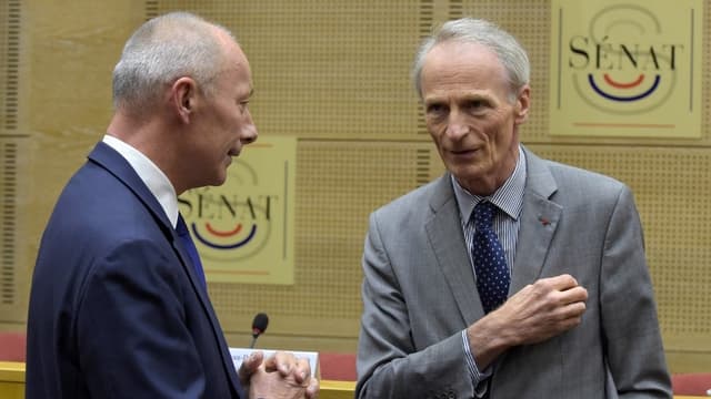 Thierry Bolloré, directeur général du groupe Renault, et Jean-Dominique Senard, président, lors de leur audition au Sénat.