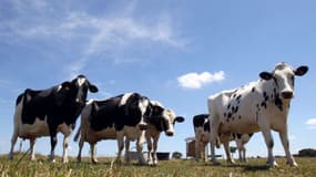 La France perçoit environ 10 milliards d'euros d'aides agricoles chaque année