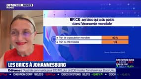 L'invité : les Brics à Johannesburg - 21/08