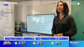 Cagnes-sur-Mer: des formations afin de mieux prendre en charge la maltraitance animale