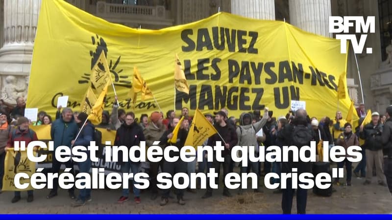 La Confédération paysanne manifeste devant le Grand Palais contre le Mercosur avant d'être dispersée par la police