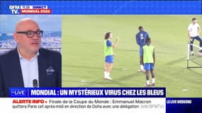 Mondial : un mystérieux virus chez les Bleus - 17/12