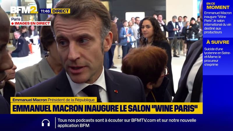 Emmanuel Macron estime que l'affaire Epstein concerne "surtout les États-Unis d'Amérique"