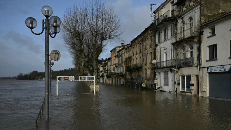 Chutes d'arbres, routes inondées... Les images des dégâts provoqués par le passage de la tempête Nils