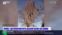 Digne: un parapentiste bloqué dans un arbre