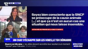 Story 1 : Un TGV démarre... malgré un chat sur les rails - 20/01