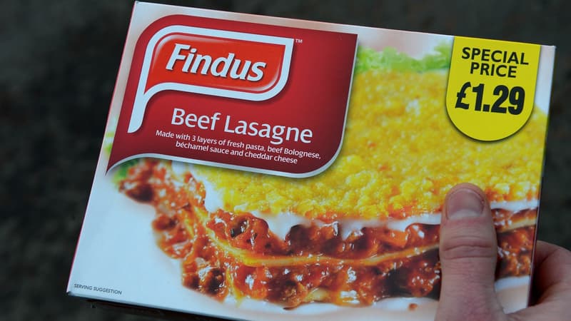 Racheté par Nomad Food, Findus était jusqu'à présent la propriété du fonds d'investissement LionGem Sweden