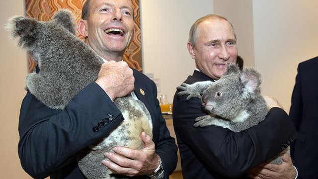 Le Premier ministre australien Tony Abbottt, le président russe Vladimir Poutine, et deux koalas.