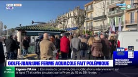 Golfe-Juan: le projet d'une ferme aquacole fait polémique