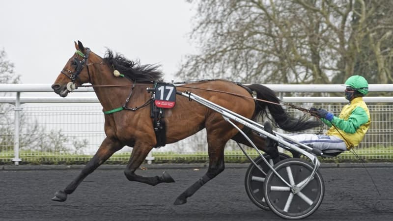 Face Time Bourbon vise le doublé Prix d'Amérique - Prix de France