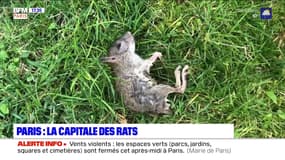 L'essentiel de l'actualité parisienne du lundi 10 février 2020