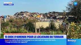 Rhône: 15.000 euros d'amende pour le gestionnaire d'une déchèterie sauvage