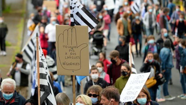 Des milliers de personnes ont manifesté samedi à Guingamp pour défendre "l'enseignement immersif" en langues régionales, censuré par le Conseil constitutionnel.