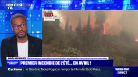 Pyrénées-Orientales : 500 pompiers face au feu - 16/04