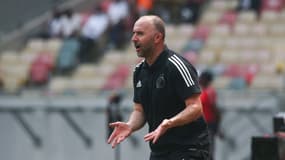 Djamel Belmadi, sélectionneur de l'Algérie, lors de la CAN 2022