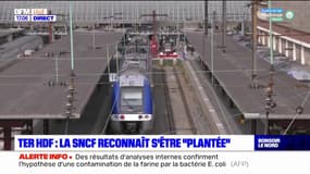 TER Hauts-de-France: la SNCF reconnaît s'être "plantée"