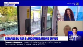 Ligne P: le président de l'association "Plus de trains", revient sur l'inauguration de 22 nouvelles rames