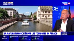 "La crise sanitaire a modifié un certain nombre d'habitudes": Alsace Destination Tourisme constate que les visiteurs cherchent le grand air