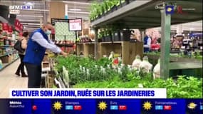 En Île-de-France, la crise sanitaire bénéficie aux jardineries où affluent les clients