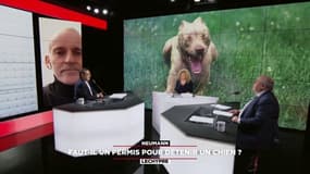 "Aujourd'hui les chiens les plus mordeurs ne sont pas les chiens dits "dangeureux" Loïc Dombreval, député LREM des Alpes-Maritimes dans "Neumann-Lechypre" sur RMC et RMC Story
