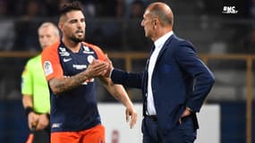  Montpellier : "J’ai les nerfs" avoue Delort, après l’annonce du départ de Der Zakarian
