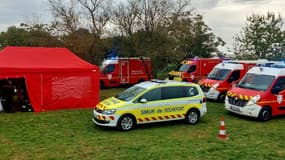 Plus de trente participants à une course ont été piqués par des frelons ce dimanche 19 octobre à Trizay, en Charente-Maritime.