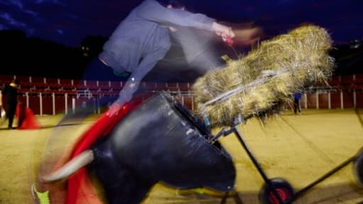Un élève de l'académie taurine Marcial Lalanda à Madrid s'entraîne en plein air à porter l'estocade, le 5 novembre 2015 Un élève de l'académie taurine Marcial Lalanda à Madrid s'entraîne en plein air à porter l'estocade, le 5 novembre 2015