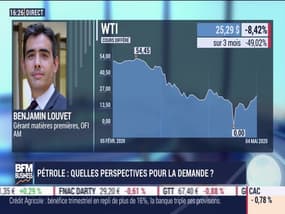 Benjamin Louvet (OFI Asset Management) : quelles perspectives pour la demande en pétrole ? - 06/05