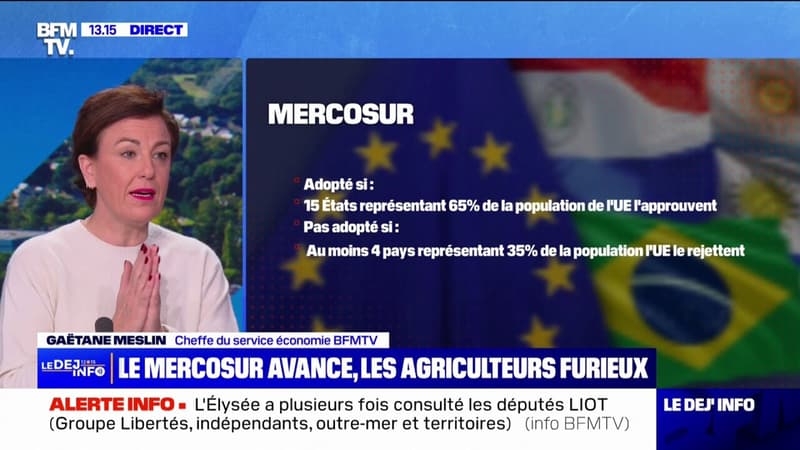 Mercosur: l'Italie rejoint la France et la Pologne pour s'opposer à l'accord de libre-échange