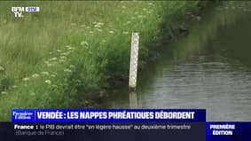 Vendée : les nappes phréatiques débordent - 11/05